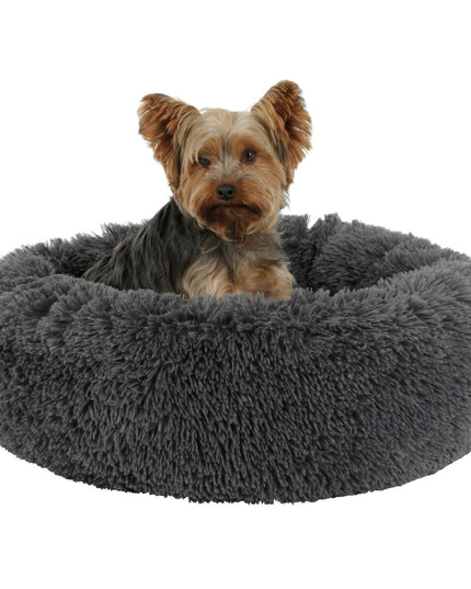 V2H19DDAAE582010BBA0F4A33583F5B94B9R7487182P2