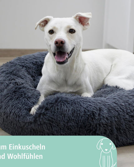 V2HB2D6989E5D65DC21B3BB2CD1A033CE09R7479821P3