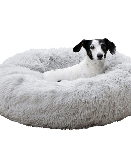 V2H4433493B2B1BDC884705ED201CCCFC3FR7479864P2