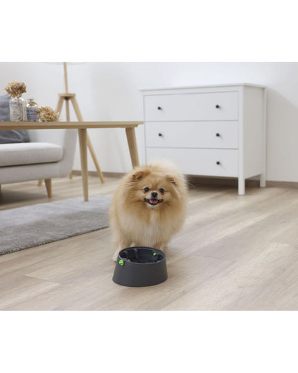 V2H5E384C7FEFAC2B3921C6A2533F2E00DCR7467553P8