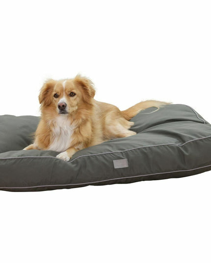 V6H2D7C5DDF1613A14233AF0B80E3054E55R5568282P4