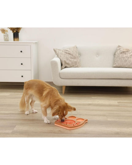 V2H89021FAB4B1F673CC5D0E09D5702A981R7467648P8