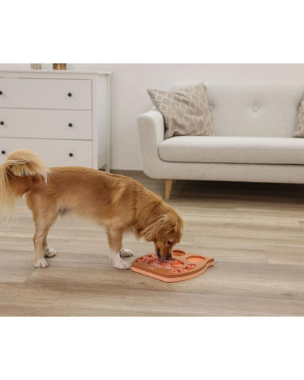 V2H22CFC0E660D09E900C515284A761FA34R7467650P9