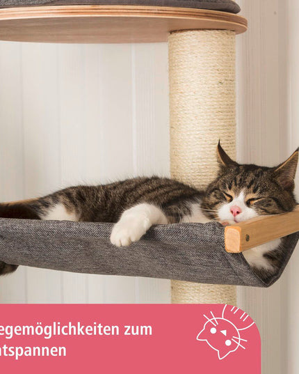 V2HD6F376C397213B6C019D9DD48EC2B98FR7479932P5