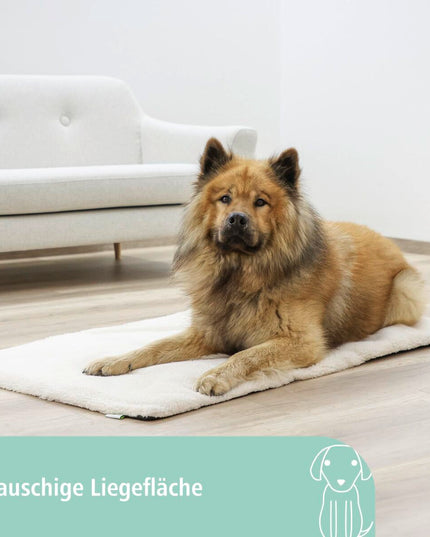 V2H3D8946C533AF8E769850E8137CC928FCR7479962P6