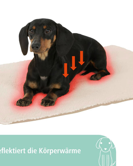 V2HA24DC67B218749960563171C55CEECA9R7479967P9