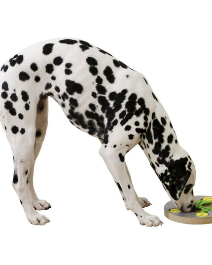 V2HF81B32BBDE3DFD819F7592CAD96775B7R7467984P4