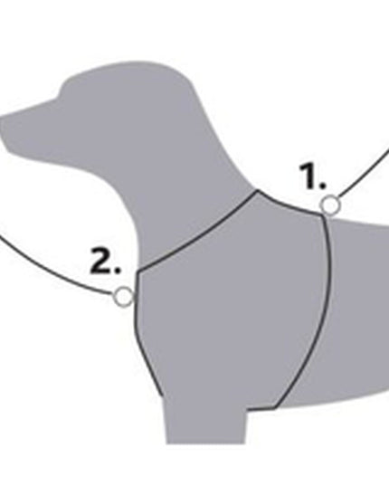 V5H9085D89D8216F2234E0337795EA0A24CR5329586P7