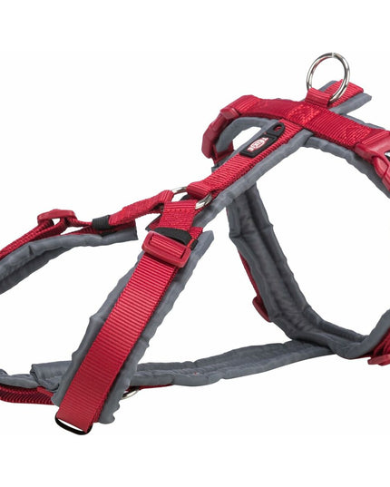 V5HA9AD9FC915496073027474DB74A0386CR5329569P2