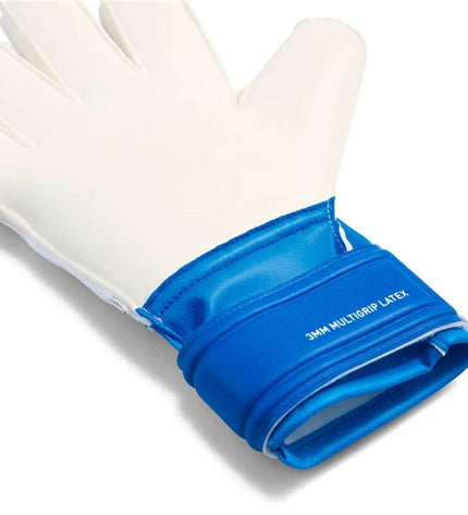 Puma Ultra Match Pro goalkeeper gloves in blue for adults, designed for soccer and outdoor sports.