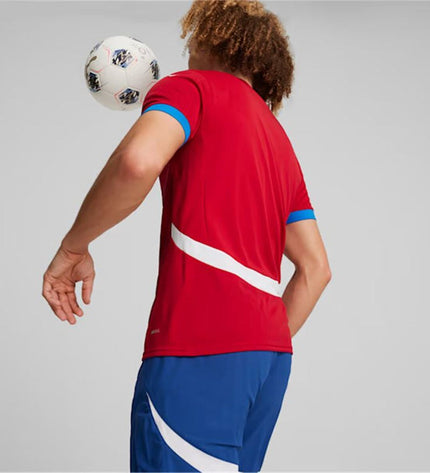 Puma Serbia 2024 men's short-sleeve football T-shirt, sporty design with team logo, suitable for outdoor soccer activities.