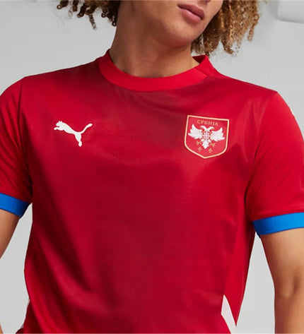 Puma Serbia 2024 men's short-sleeve football T-shirt, sporty design, ideal for outdoor soccer activities.