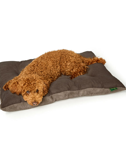 V3H238A6657B4CD6224A468E5A416A69B71R5574597P2