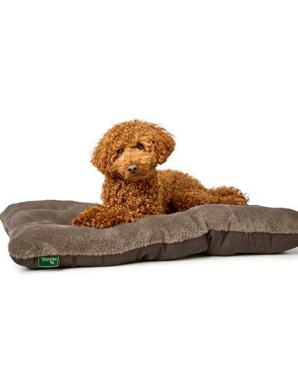 V3H671705A25E6F58D47F0D75C4ED6475FER5574605P4