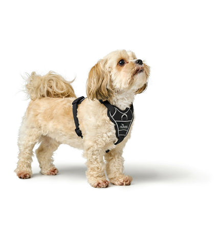 Black Hunter DIVO UP dog harness in size S, showing adjustable straps and padded design for comfortable pet wear.