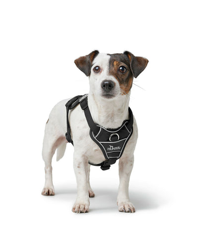 Black Hunter DIVO UP dog harness for large/extra-large dogs, padded and adjustable for comfortable fit.