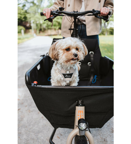 Beige Hunter DIVO UP dog harness for small dogs, XS size, lightweight and adjustable, made for comfortable walks.