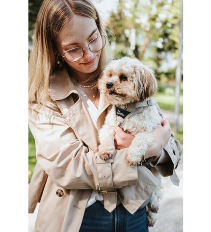 Hunter DIVO UP beige dog harness, S/M size, made for comfortable and secure fit for small to medium dogs.