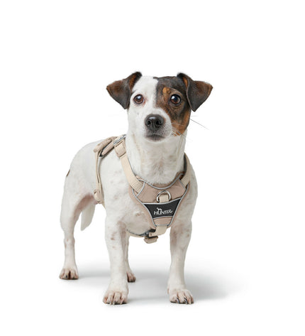 Hunter DIVO UP beige dog harness for medium-sized dogs, comfortable and adjustable pet accessory with secure buckle.