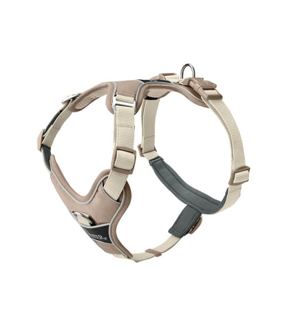 Hunter DIVO UP beige dog harness, lightweight and adjustable, shown on a small to medium-sized dog in a natural outdoor setting.