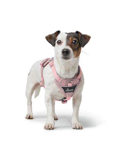 Pink Hunter DIVO UP dog harness in S/M size with adjustable straps and breathable material, designed for comfortable pet walking.