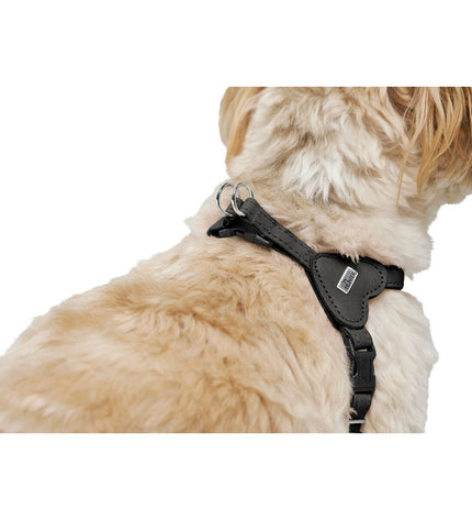 Black Hunter SOHO MINI dog harness for small dogs, XS/S size, lightweight and adjustable for comfortable fit.