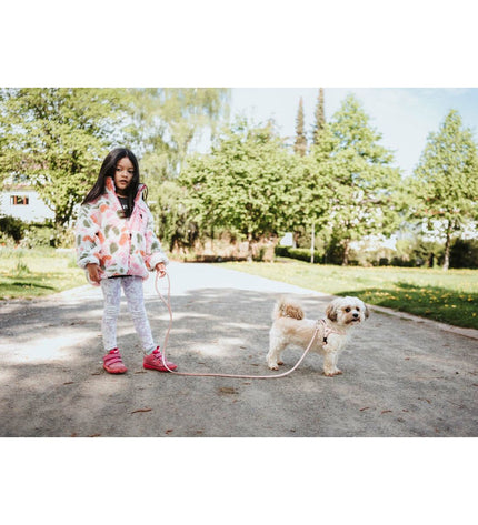 Hunter SOHO MINI pink dog harness for small dogs, XS size, soft and adjustable pet harness with secure buckles.