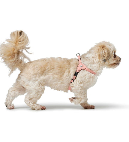 Pink Hunter SOHO MINI dog harness for small breeds, XS/S size, featuring adjustable straps and soft material for comfort.