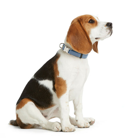 Hunter Vario Basic blue dog collar for medium-sized dogs, adjustable 30-45 cm, made of durable material for pets.