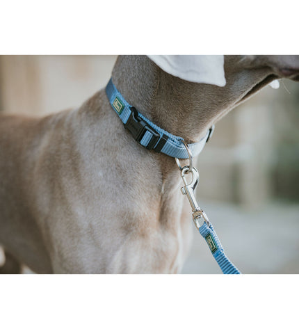 Blue Hunter dog leash, 100 cm long, made of durable material, suitable for walking dogs.