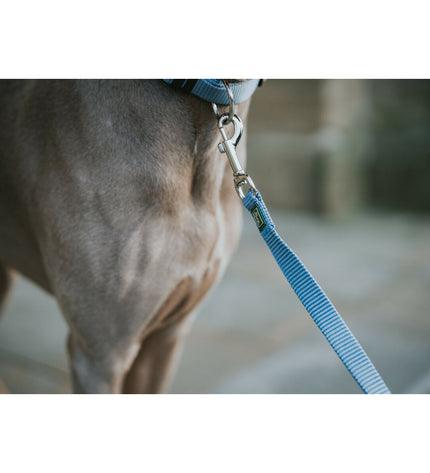 Blue Hunter dog leash, 100 cm long, made of durable material, suitable for walking and training dogs.