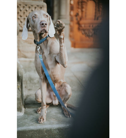 Blue Hunter dog leash, 100 cm long, with durable nylon material and metal clasp, designed for secure dog walking.