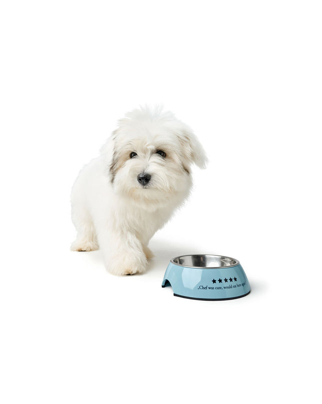Blue Hunter Mayfair dog feeding bowl for dogs, 160 ml capacity, made of durable material, suitable for small to medium-sized pets.