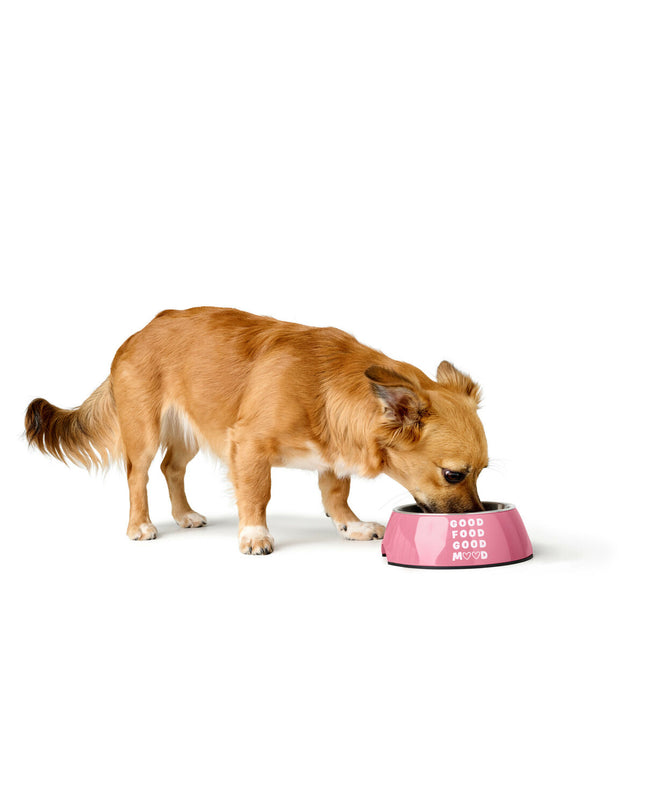Pink Hunter Chester dog food bowl with 160 ml capacity, showing a smooth, rounded plastic design for feeding dogs.