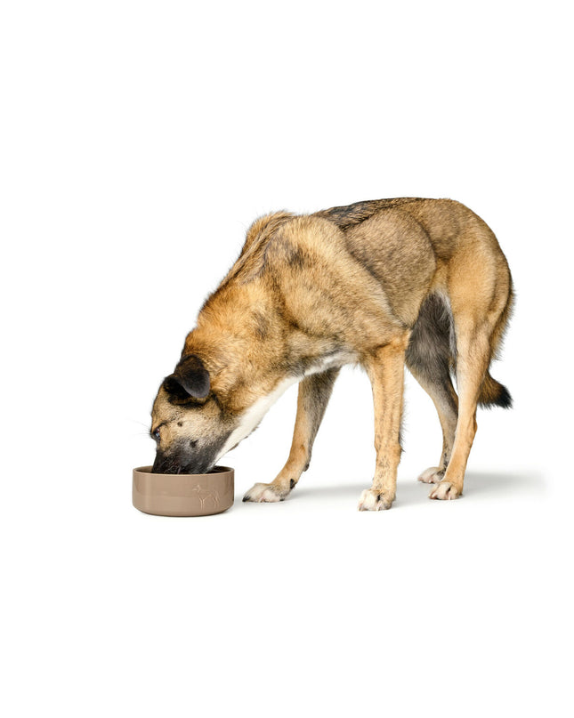 Hunter OSBY beige ceramic dog feeder bowl, 550 ml capacity, for feeding and watering dogs, with a smooth ceramic finish.