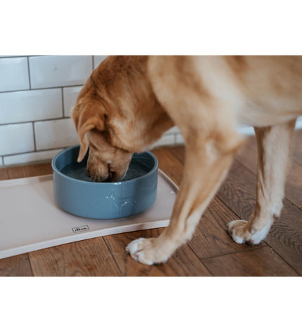 Blue ceramic dog feeder bowl by Hunter, 350 ml capacity, suitable for feeding dogs, with a durable, stylish design.