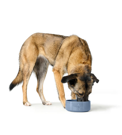 Hunter OSBY GLAZED blue ceramic dog food bowl, 2.5L, with a smooth glazed finish and durable ceramic construction for dogs.