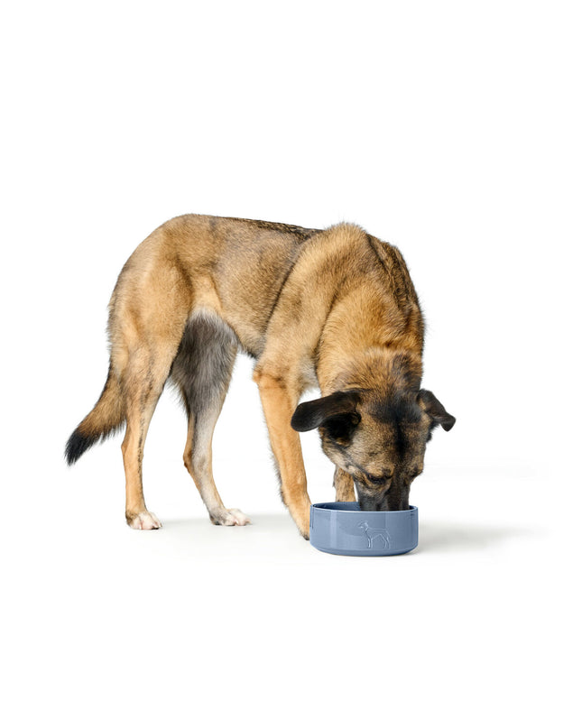 Hunter OSBY GLAZED blue ceramic dog food bowl, 2.5L, with a smooth glazed finish and durable ceramic construction for dogs.