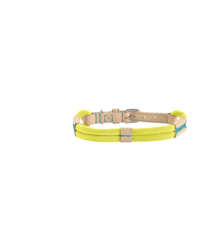 Hunter Malia lime dog collar for medium to large dogs, adjustable 45-54 cm, shown on a dog with a lime green collar.