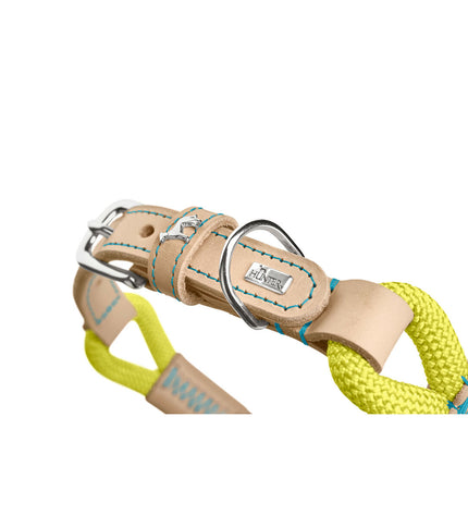 Hunter Malia lime dog collar for medium to large dogs, adjustable 45-54 cm, made of durable material, shown on a dog.