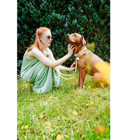 Hunter Malia lime green dog collar for medium to large dogs, adjustable 45-54 cm, durable nylon pet accessory.