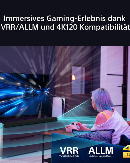 V2HDA5AF9373F879AEFE3DAA30744069AE0R7526395P10