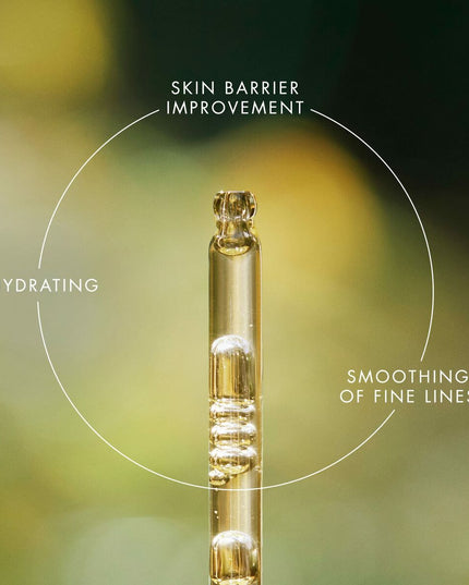 V2H50172A424EB0739E2562C6407E119865R7477110P5