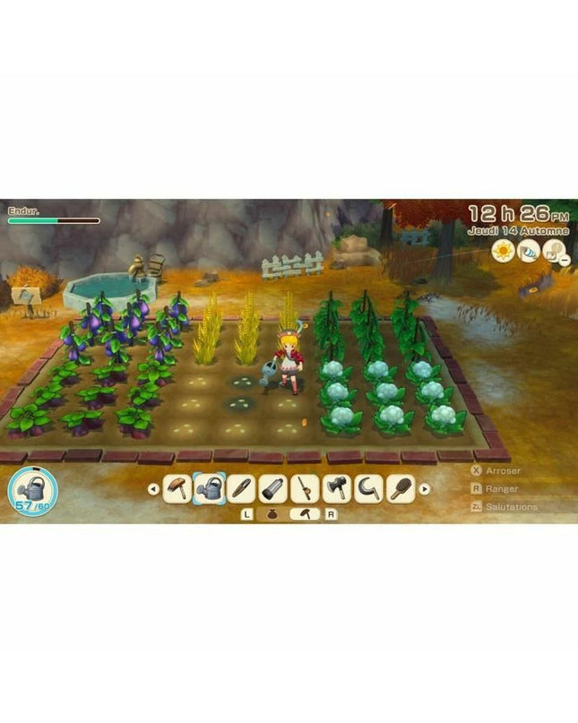 Just For Games Story of Seasons Grand Bazaar Switch video game cartridge for electronic plug-and-play gaming console