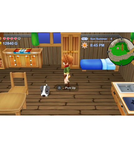 Just For Games Harvest Moon: The Lost Valley & Skytree Village collector's Switch video game cartridge for electronic plug-and-play consoles