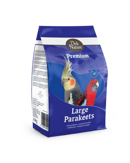 V4H83DDDCE581F2A9EB7CA42D19928A31ECR7447919P1