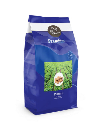 V4H2E476017E65D72AE0AA127A552A45509R7447876P2