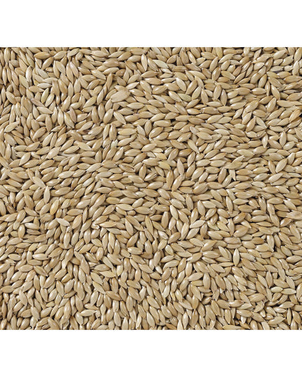 V4HC94A4E8AE24E85E3315BA7C7B66497D8R7450072P3