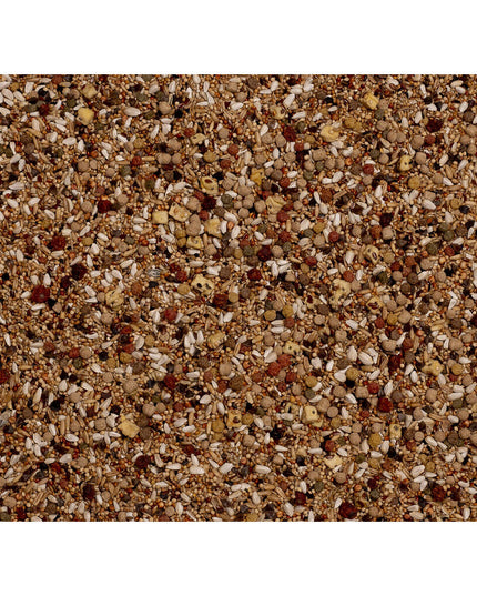 V5H1CC95846A2A6EDEC42D36761B91592C8R7450557P3