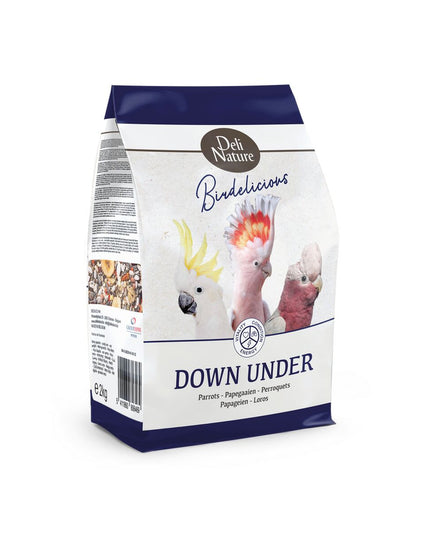 V4H09A35F77CBC0813627D1B1C71C96AF49R7458093P1